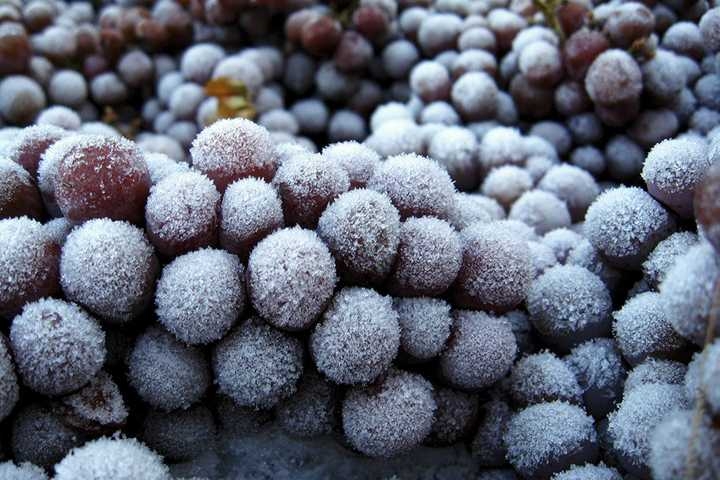 Icewine o Eiswein: Cosa sono i vini di ghiaccio?