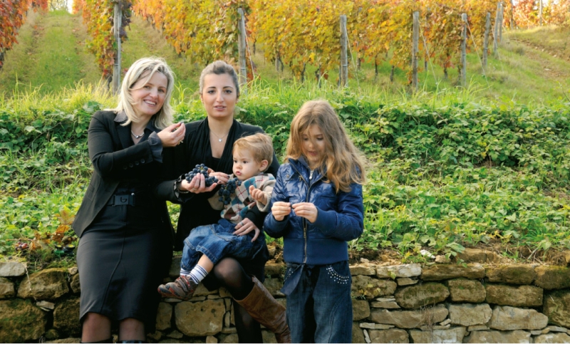 Immagine relativa all'articolo: Iskra un vino che fa "scintille" di gusto